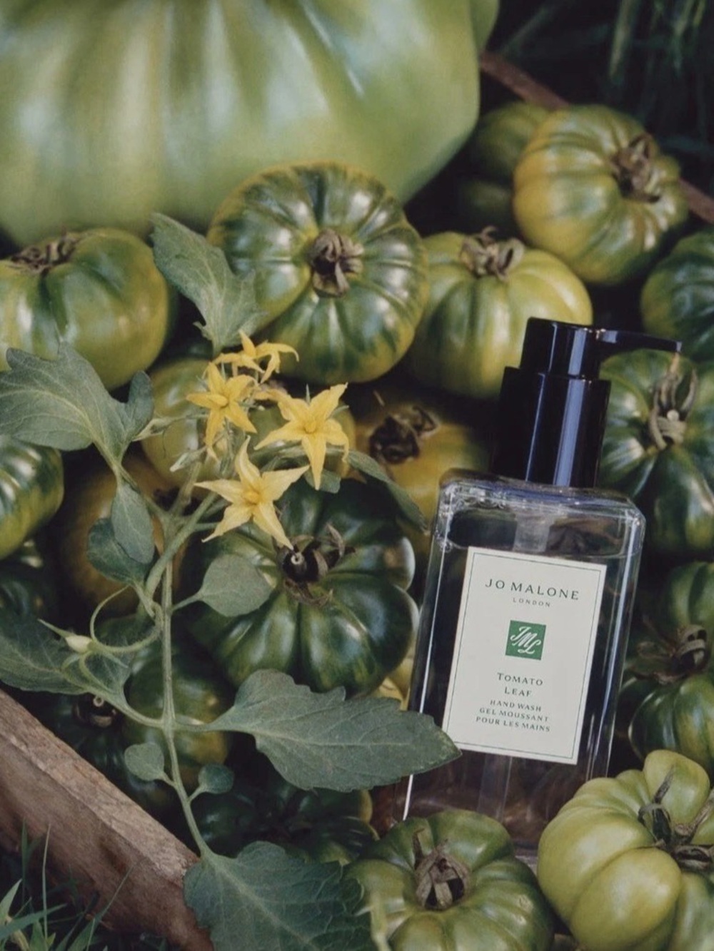 NEW Jo Malone London Tomato Leaf Hand Wash Gel, 250ml/8.5 fl oz Pump Bottle new
